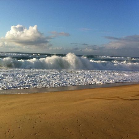 Entre Mer Et Pins แซ็งต์-จูเลียง-อ็อง-บอร์ง ภายนอก รูปภาพ