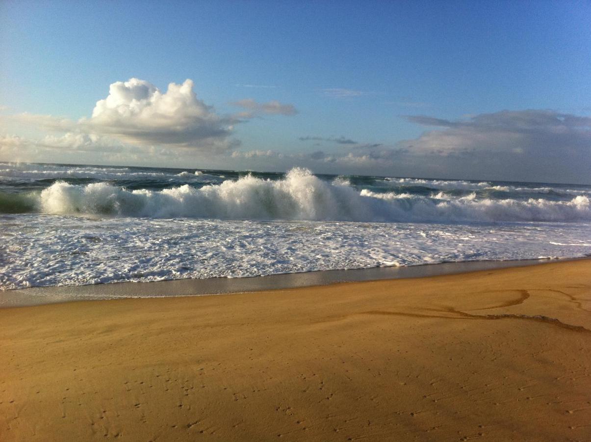 Entre Mer Et Pins แซ็งต์-จูเลียง-อ็อง-บอร์ง ภายนอก รูปภาพ