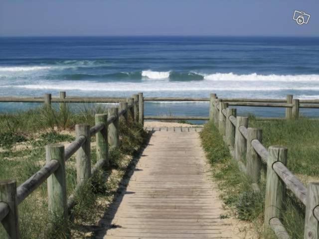 Entre Mer Et Pins แซ็งต์-จูเลียง-อ็อง-บอร์ง ภายนอก รูปภาพ