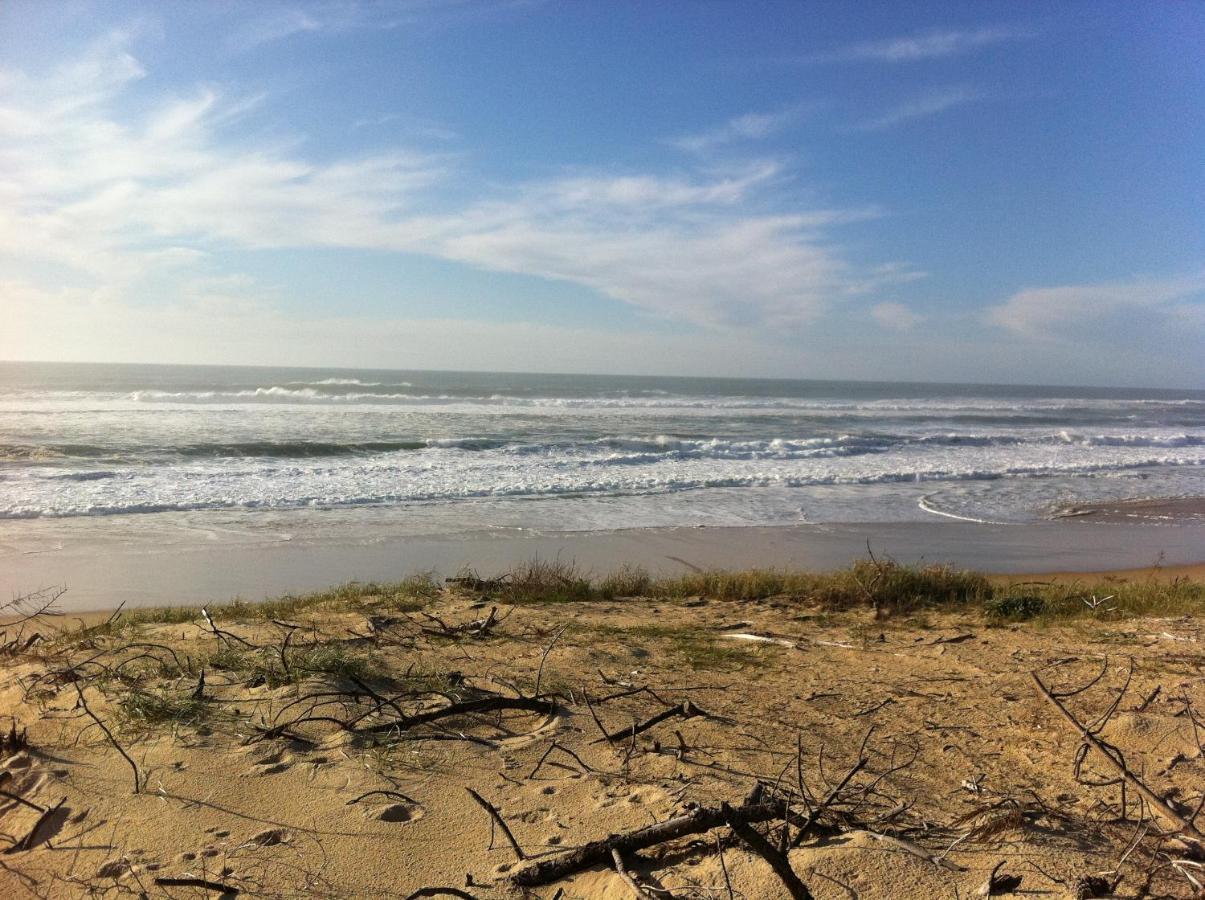 Entre Mer Et Pins แซ็งต์-จูเลียง-อ็อง-บอร์ง ภายนอก รูปภาพ